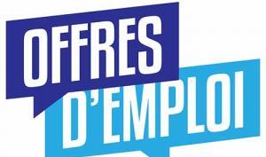 Offres d'emploi
